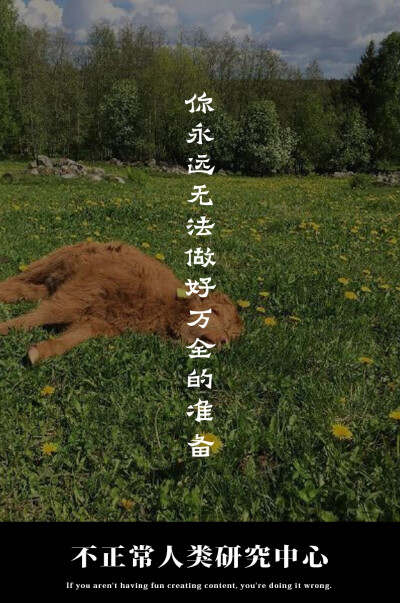 知否。应是绿肥红瘦