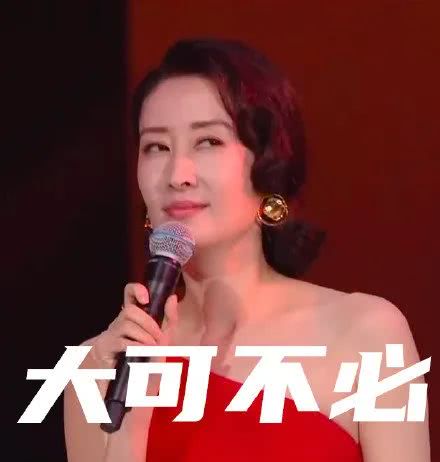 刘敏涛 表情包 牛肉面条儿 搬运自网络