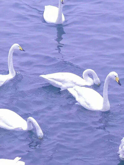 想把夏天的橘子汽水，卖给颜料用完的梵高
