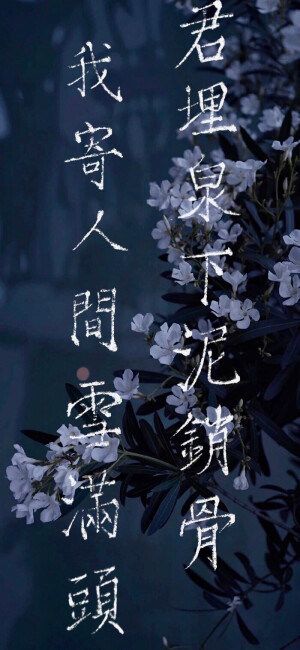 写字 诗词 壁纸