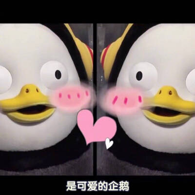 今日份pengsoo表情包
pengsoo系列
企鹅表情包
哎说句题外话我觉得它长的有点吓人，但是最近好火喔