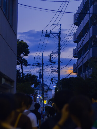 夏日心动文案｜壁纸
夏天最幸福的事莫过于
冰箱被雪糕塞满
街道被绿荫铺满
我的心被你填满
©️星巴克 侵删
图源.微博.拍照的刘
