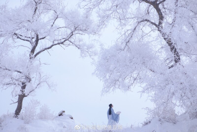 
“风竹婆娑银凤舞 云松偃蹇玉龙寒
不知天上谁横笛 吹落琼花满世间”
出镜：@谷乐晨_
妆造：@月下桑小川
摄影后期：@阿瑶想吃鱼豆腐
衣服：@落花笺原创汉服
抄送：@知竹zZ @摄影师蝈蝈小姐 @流云蕊 @扶卮- @…