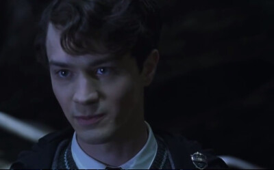 Christian Coulson
克里斯蒂安·库尔森
青年时期 汤姆·里德尔
哈利波特