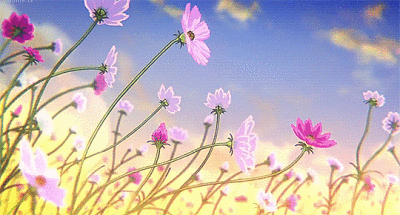 如有侵权，请联系最初发布者：_撞南墙删除。(其他人为二传无法删除原文件，请直接私信我 动图 少女心 粉色壁纸