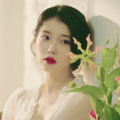 原截小黄君二改注明薄荷