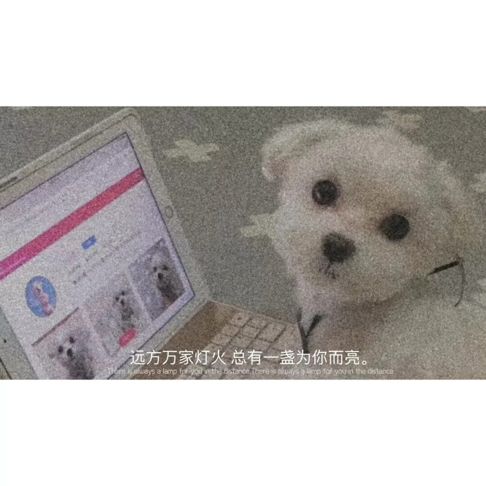 经典台词背景图