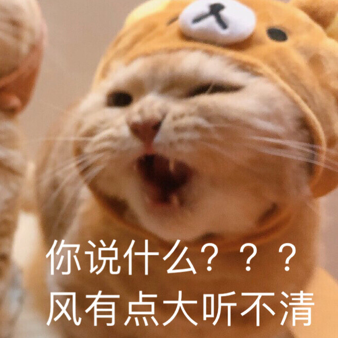 猫 表情包 超阔爱