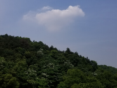 风景