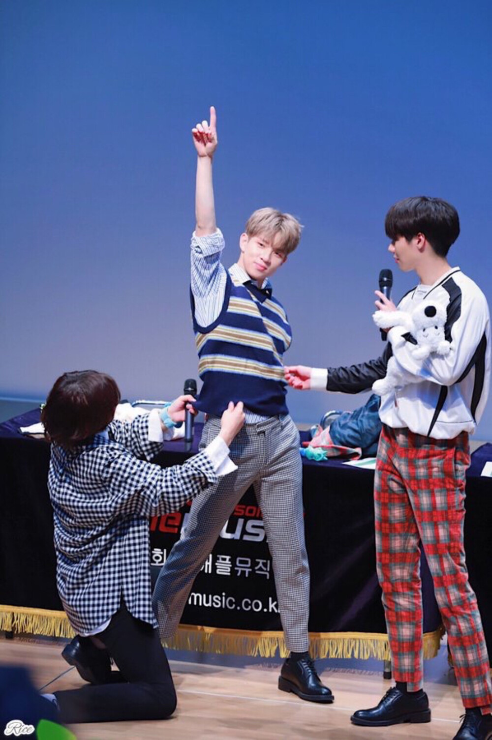 新飞 nflying