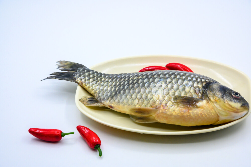 鲫鱼 生物 水生生物 水产品 海产品 鱼类 海鲜 狗杠鱼 推浪鱼 沙逛鱼 地龙鱼 天浪鱼 光鱼 海鱼 新鲜 动物 海洋动物 室内 食材 食物 待加工 烹饪 野生鱼 捕捞 特写 黑色背景 容器 简单背景 白瓷盘 瓷器 整条鱼 饮食 营养丰富 中国 葱 大葱 蒜 大蒜 辣椒 红色 辛辣 佐料 调料
