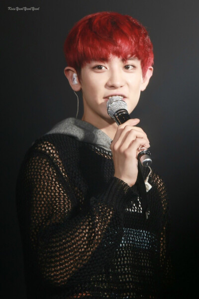 朴灿烈/陪你一起走过的这些年太好哭了