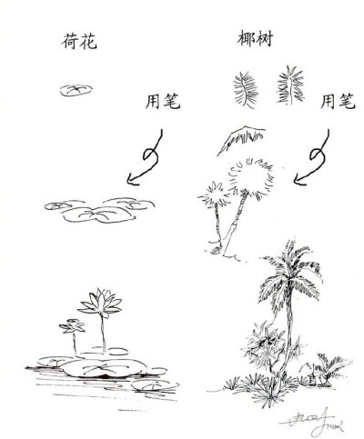 植物速写手绘