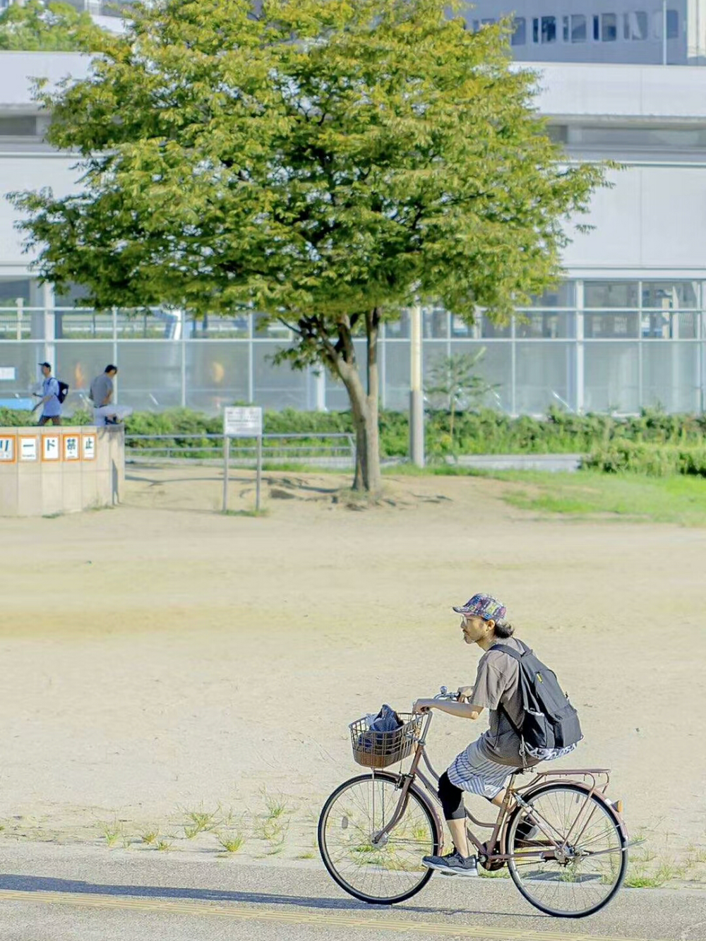 适合夏日的仙气壁纸