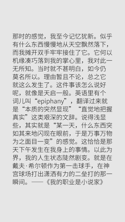 《我的职业是小说家》