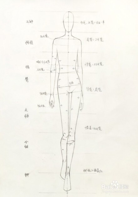 人体模特手绘