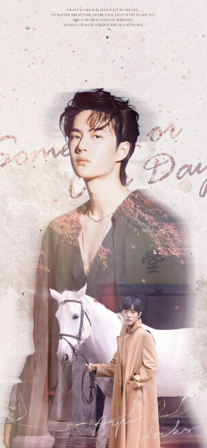 肖战王一博- 堆糖