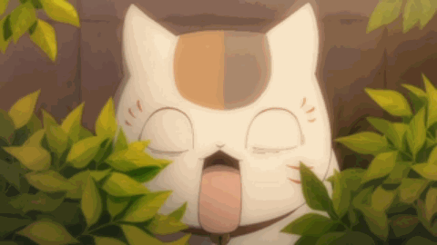 猫咪老师