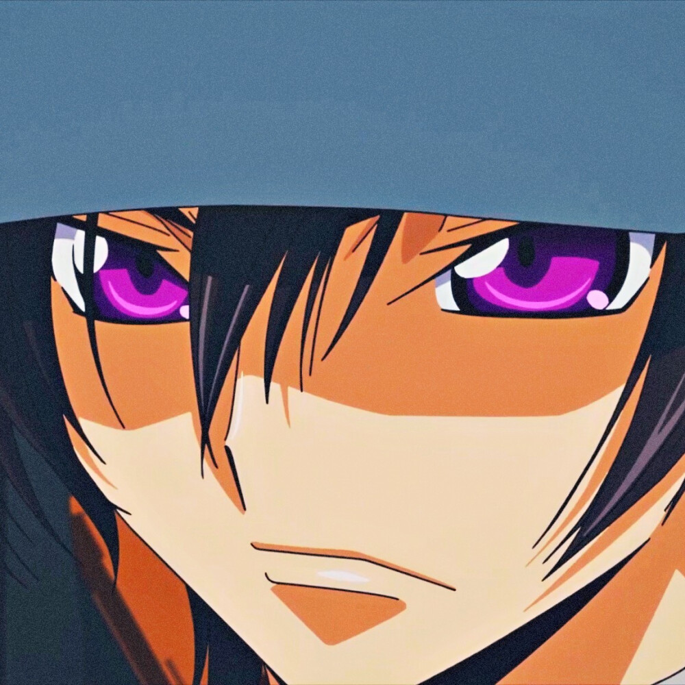 番剧：Code Geass 反叛的鲁路修
角色：鲁路修·兰佩路基（鲁路修.Vi.布里塔尼亚）