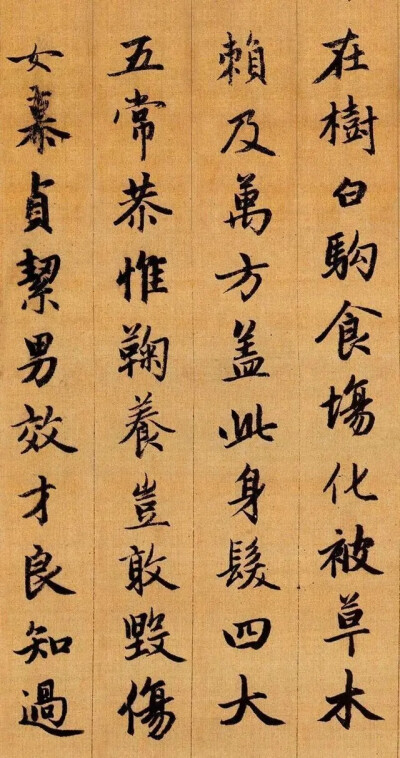 赵子昂《行书千字文》
《千字文》原本是南北朝时期梁朝的才子周兴嗣所编纂的千字韵文。梁武帝喜爱王羲之的书法，便命人从王羲之的书法中选取1000个不重复的字，以便于日后的书法练习。
但是这1000个字杂乱无章，练…