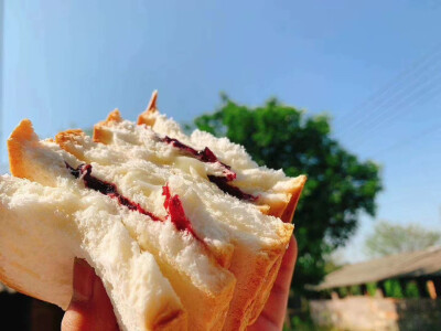 换着花样吃早餐也是一种乐趣
紫米面包 蓝莓面包 玉米面包
饱满谷物水果夹心馅料✨清香优雅
健康好吃 三种口味可以选择