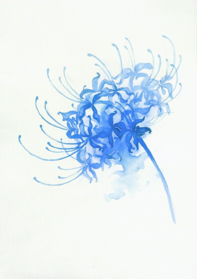 彼岸花古风 堆糖 美图壁纸兴趣社区