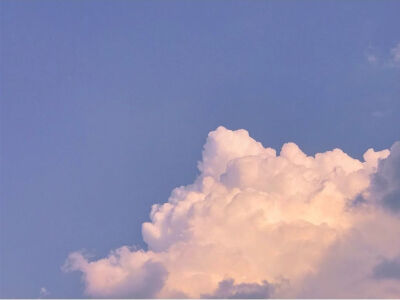 情 乱 夜 梦 東 京