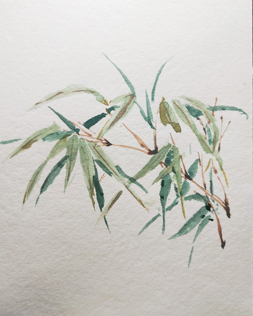 诗经里的植物