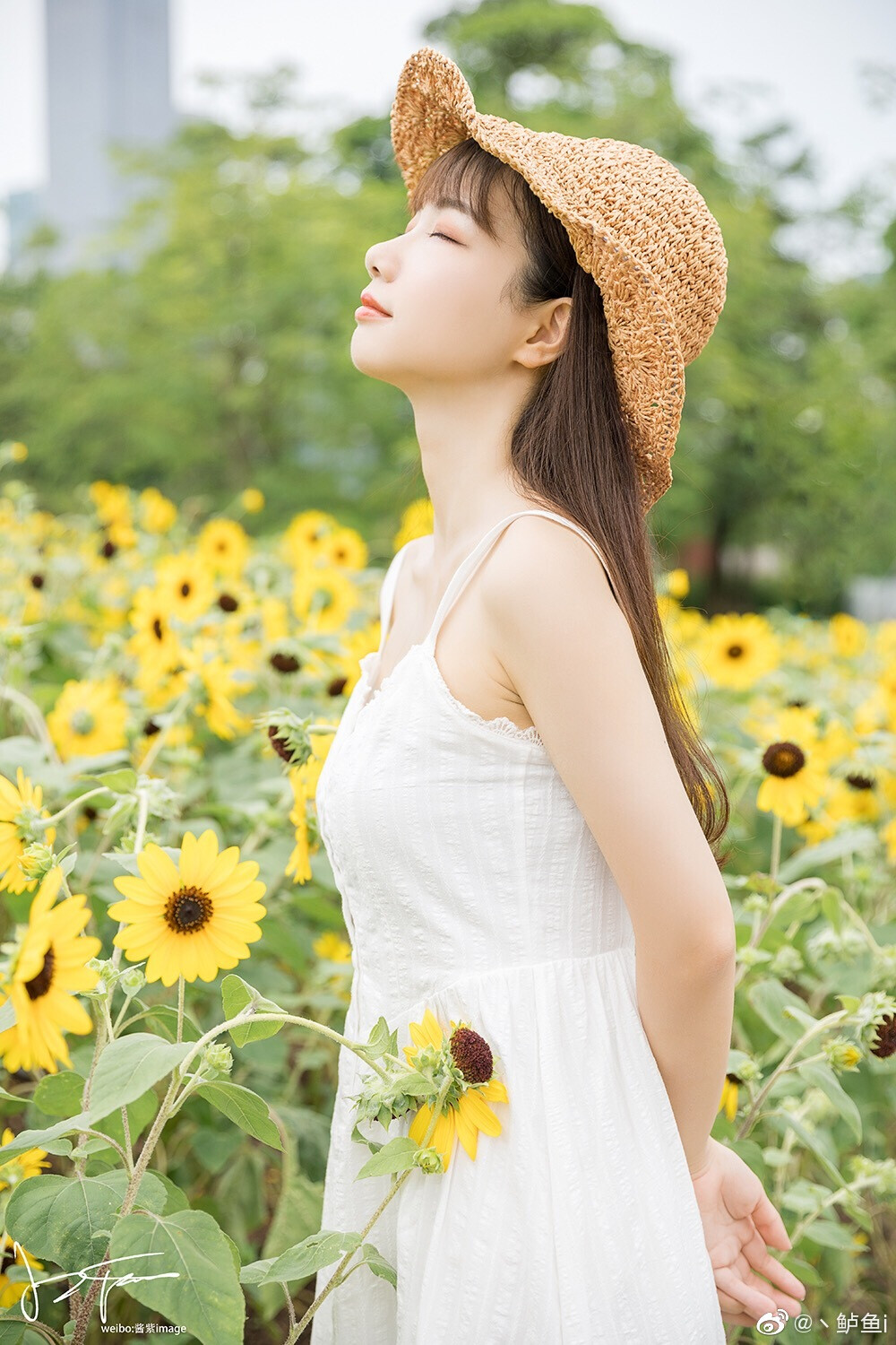 摄影，酱紫image
出镜，鲈鱼i