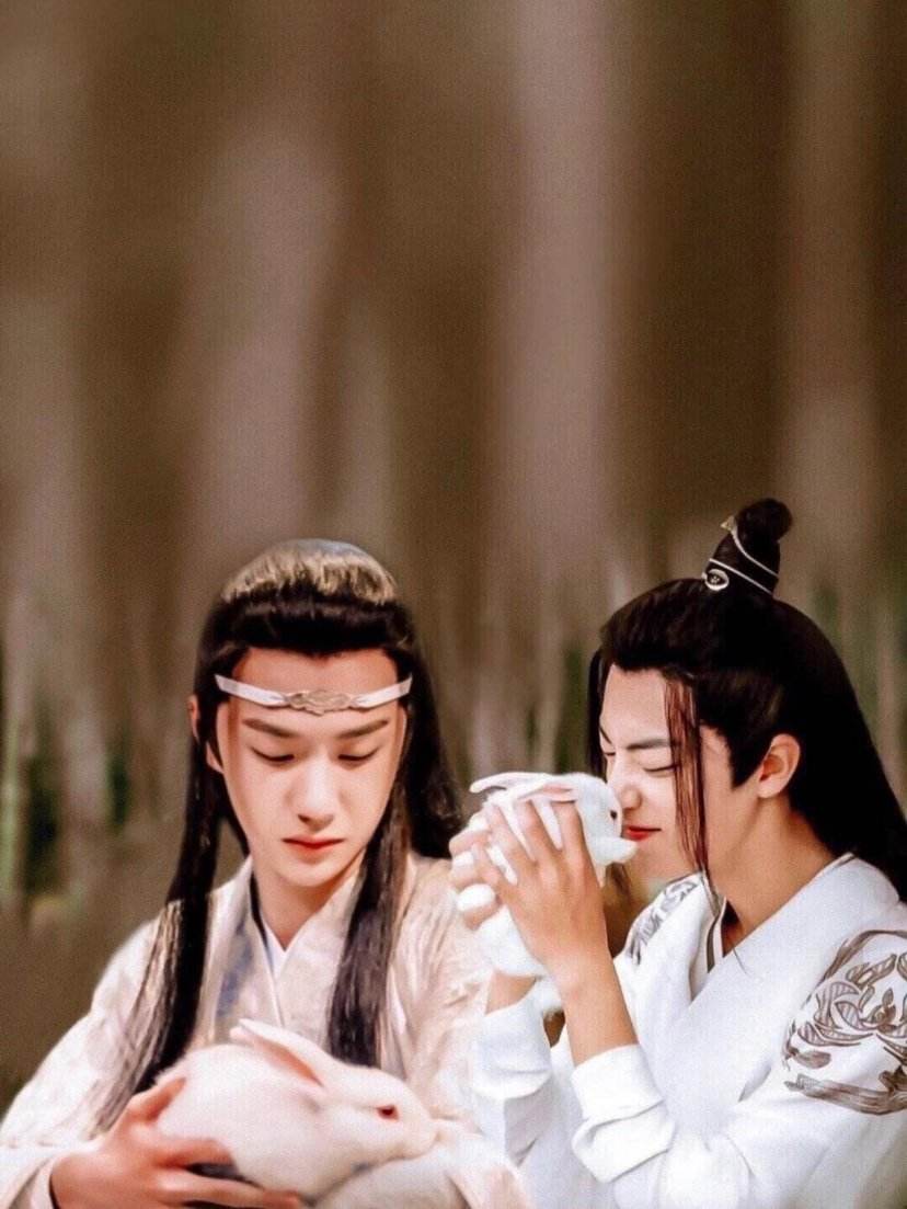  师姐蓝忘机和魏无羡