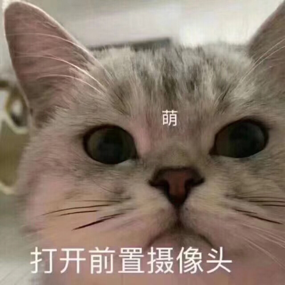 打开前置摄像头｜表情包