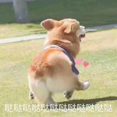 乌拉