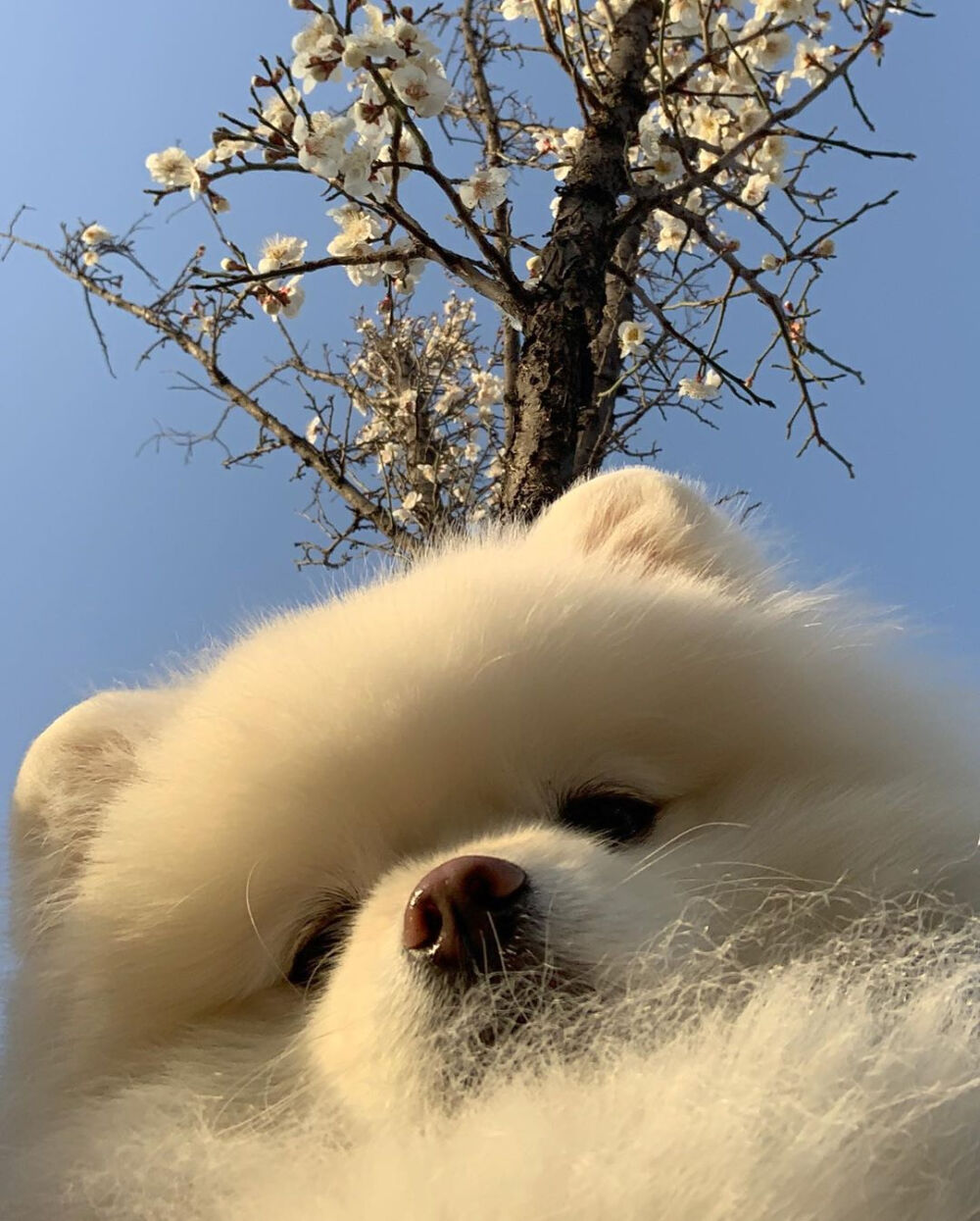 和春天愉快地拍照留念啦♡