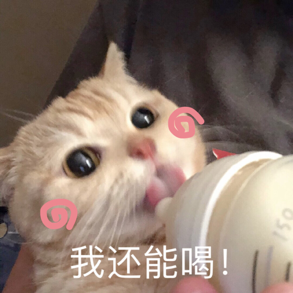 来自围脖：橘猫沙梨Sally