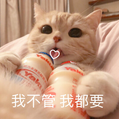 来自围脖：橘猫沙梨Sally