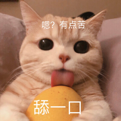 来自围脖：橘猫沙梨Sally
