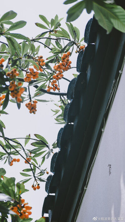 Cr: 烟波里的海棠
艺术不易，请尊重作者，禁去水印