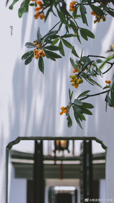 Cr: 烟波里的海棠
艺术不易，请尊重作者，禁去水印