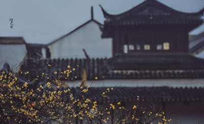 Cr: 烟波里的海棠
艺术不易，请尊重作者，禁去水印
