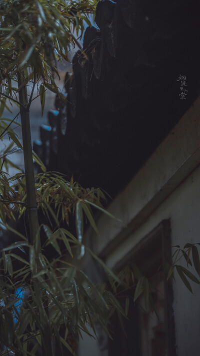 Cr: 烟波里的海棠
艺术不易，请尊重作者，禁去水印
