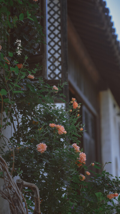 Cr: 烟波里的海棠
艺术不易，请尊重作者，禁去水印