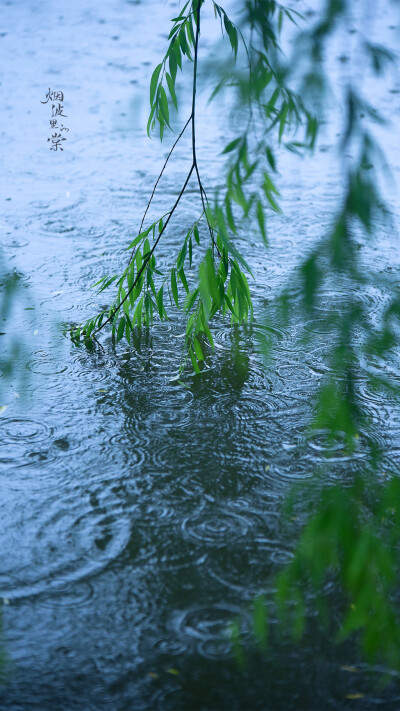 Cr: 烟波里的海棠
艺术不易，请尊重作者，禁去水印
