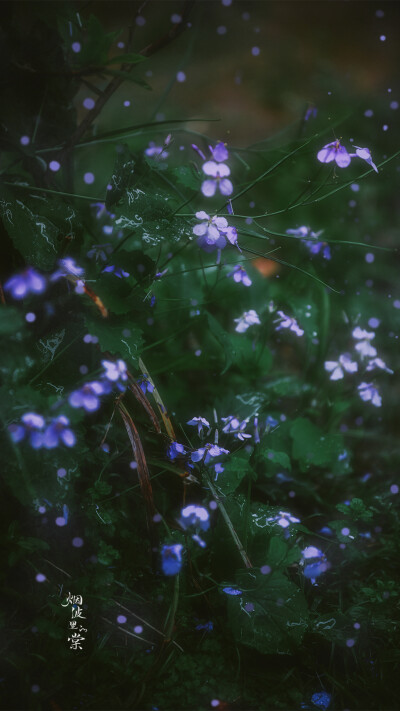 Cr: 烟波里的海棠
艺术不易，请尊重作者，禁去水印