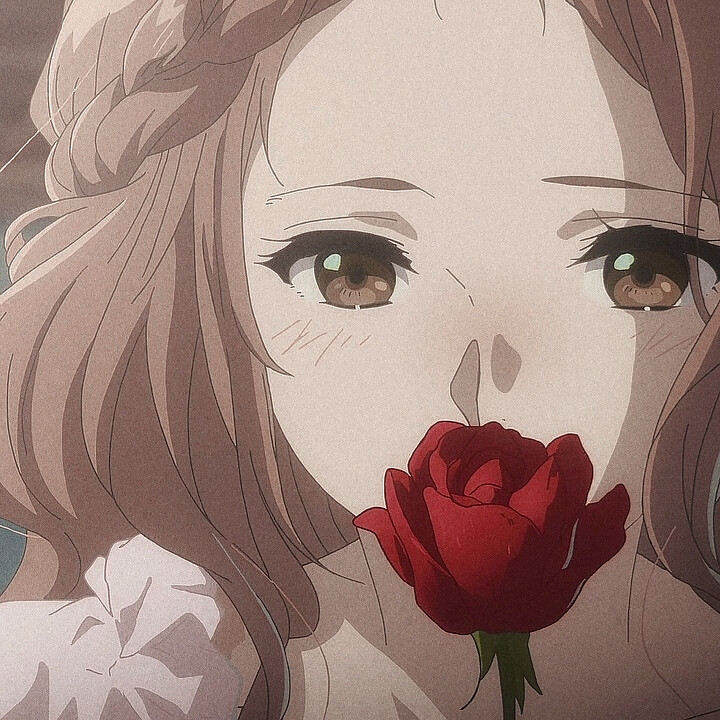 紫罗兰永恒花园