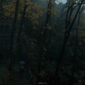 云深千古寺，雨寂暮山林。

杭州，灵隐。        
摄影:陈帆fotochen
图源微博:陈帆fotochen