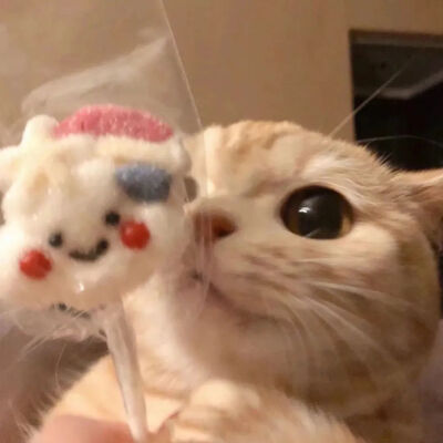 物极必反人美必单