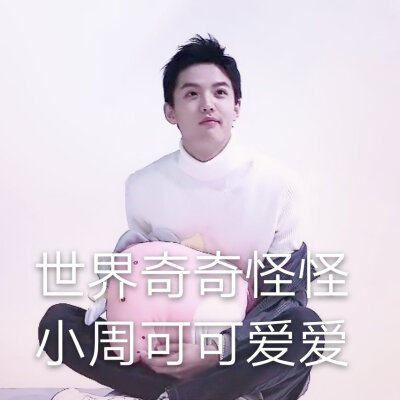 周峻纬/表情包/纬爹/周主任