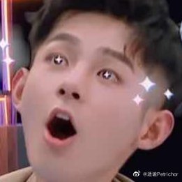 潘宥诚/表情包/潘潘/人间表演艺术家/话比蒲熠星和郭文韬都多的潘潘