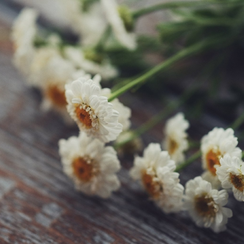 “我过的不好，我不想撒谎”
摄影师:王小喵