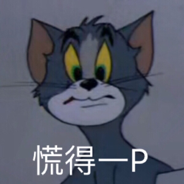 猫和老鼠表情包